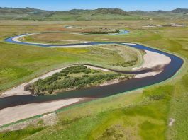 Cina: realizzati progetti di ripristino ecologico della zona umida di Zoige (3)