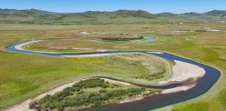 Cina: realizzati progetti di ripristino ecologico della zona umida di Zoige (3)