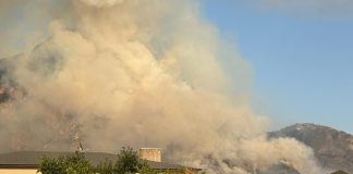 Incendi in Friuli Venezia Giulia, Fedriga “Raccomandazioni sanitarie per 17 comuni”