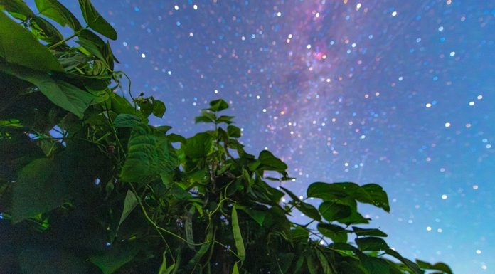 Cina: il cielo stellato visto dalle colture dell’Heilongjiang (1)
