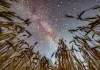 Cina: il cielo stellato visto dalle colture dell’Heilongjiang (3)