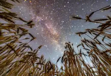 Cina: il cielo stellato visto dalle colture dell’Heilongjiang (3)
