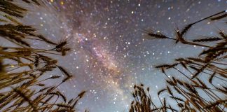 Cina: il cielo stellato visto dalle colture dell’Heilongjiang (3)