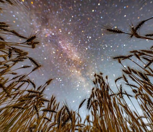 Cina: il cielo stellato visto dalle colture dell’Heilongjiang (3)