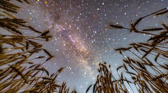 Cina: il cielo stellato visto dalle colture dell’Heilongjiang (3)