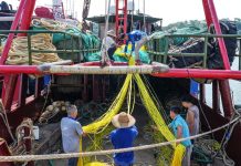 Cina: iniziata la stagione di pesca nel Mar Cinese Meridionale (2)