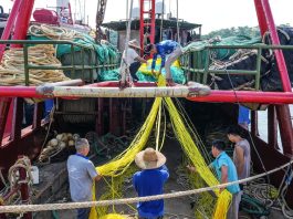 Cina: iniziata la stagione di pesca nel Mar Cinese Meridionale (2)