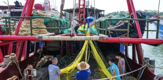 Cina: iniziata la stagione di pesca nel Mar Cinese Meridionale (2)