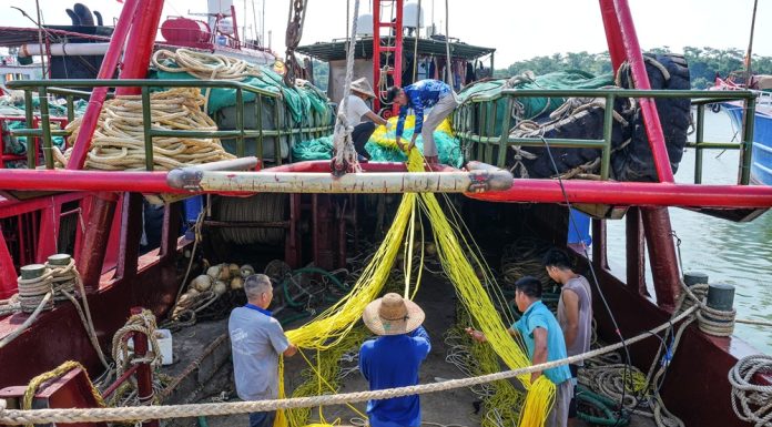 Cina: iniziata la stagione di pesca nel Mar Cinese Meridionale (2)
