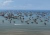 Cina: iniziata la stagione di pesca nel Mar Cinese Meridionale (3)