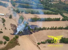 Ancora incendi in Sardegna: fiamme a Siniscola, Osilo, Serramanna e nell’Oristanese
