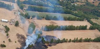 Ancora incendi in Sardegna: fiamme a Siniscola, Osilo, Serramanna e nell’Oristanese