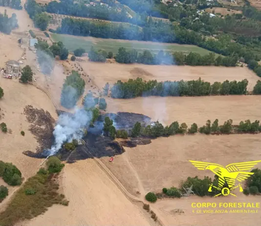 Ancora incendi in Sardegna: fiamme a Siniscola, Osilo, Serramanna e nell’Oristanese