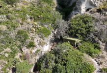 Campania, scoperto un resort abusivo a Barano d’Ischia: devastata un’area protetta