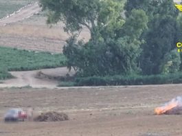Brucia cumuli di vegetazione a Sanluri, maxi multa ad un agricoltore