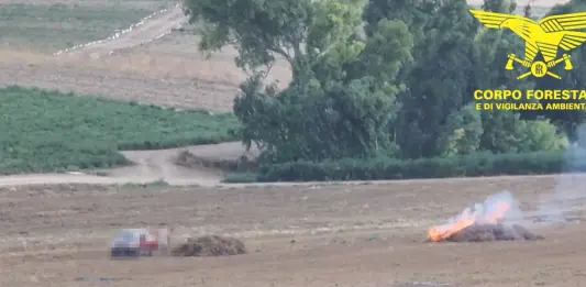 Brucia cumuli di vegetazione a Sanluri, maxi multa ad un agricoltore