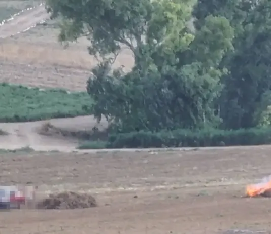 Brucia cumuli di vegetazione a Sanluri, maxi multa ad un agricoltore