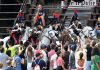 Palio di Siena: le foto della storica corsa equestre (1)