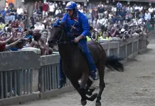 Palio di Siena: le foto della storica corsa equestre (3)