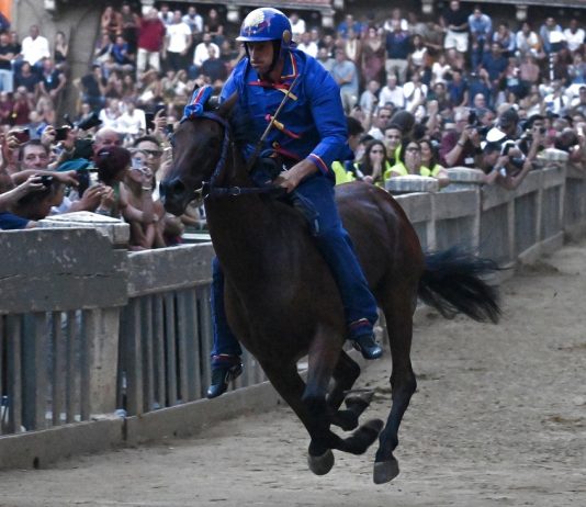 Palio di Siena: le foto della storica corsa equestre (3)