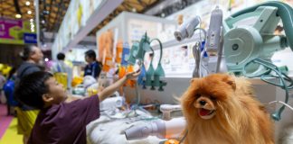 Cina: Shanghai, prodotti per animali in mostra alla 28esima Pet Fair Asia (1)