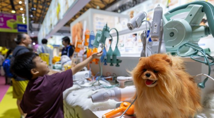 Cina: Shanghai, prodotti per animali in mostra alla 28esima Pet Fair Asia (1)