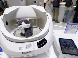 Cina: Shanghai, prodotti per animali in mostra alla 28esima Pet Fair Asia (3)