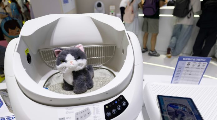 Cina: Shanghai, prodotti per animali in mostra alla 28esima Pet Fair Asia (3)