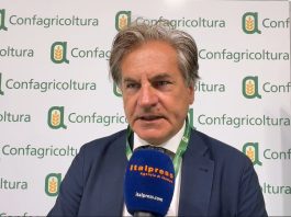 Caponi “Il tema del lavoro per Confagricoltura è fondamentale, difficoltà a reperire manodopera” / Video