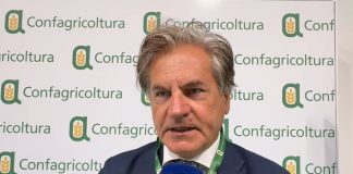 Caponi “Il tema del lavoro per Confagricoltura è fondamentale, difficoltà a reperire manodopera” / Video