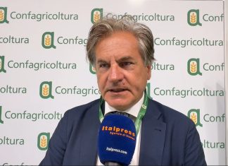 Caponi “Il tema del lavoro per Confagricoltura è fondamentale, difficoltà a reperire manodopera” / Video
