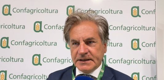 Caponi “Il tema del lavoro per Confagricoltura è fondamentale, difficoltà a reperire manodopera” / Video