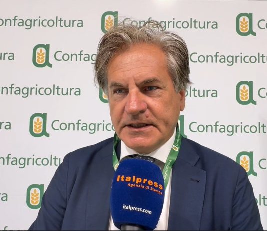 Caponi “Il tema del lavoro per Confagricoltura è fondamentale, difficoltà a reperire manodopera” / Video