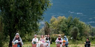 Cina: oltre 17 milioni di visitatori sul corridoio ecologico del lago Erhai (1)