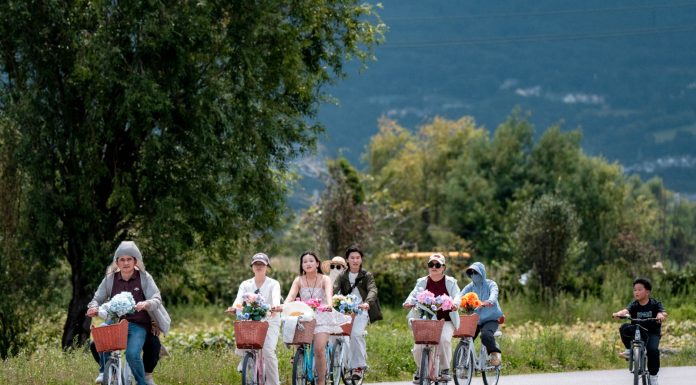 Cina: oltre 17 milioni di visitatori sul corridoio ecologico del lago Erhai (1)