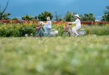 Cina: oltre 17 milioni di visitatori sul corridoio ecologico del lago Erhai (3)
