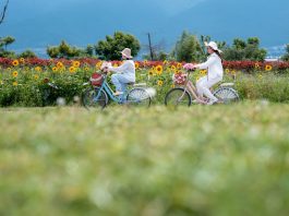 Cina: oltre 17 milioni di visitatori sul corridoio ecologico del lago Erhai (3)