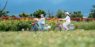 Cina: oltre 17 milioni di visitatori sul corridoio ecologico del lago Erhai (3)