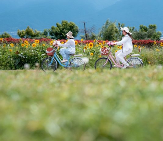 Cina: oltre 17 milioni di visitatori sul corridoio ecologico del lago Erhai (3)