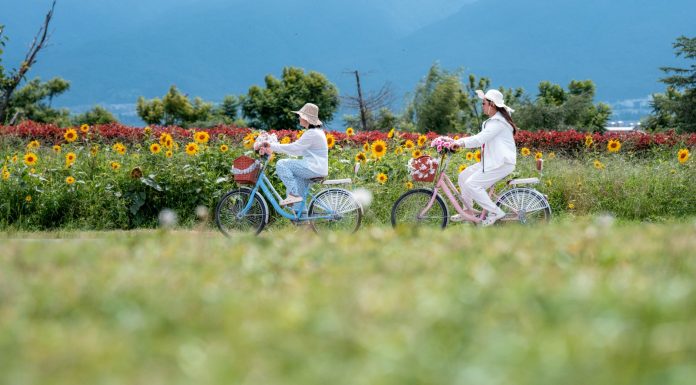 Cina: oltre 17 milioni di visitatori sul corridoio ecologico del lago Erhai (3)