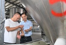 Cina: funzionario locale guida villaggio verso rivitalizzazione rurale (1)