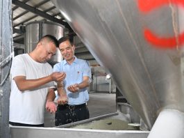 Cina: funzionario locale guida villaggio verso rivitalizzazione rurale (1)