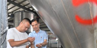 Cina: funzionario locale guida villaggio verso rivitalizzazione rurale (1)