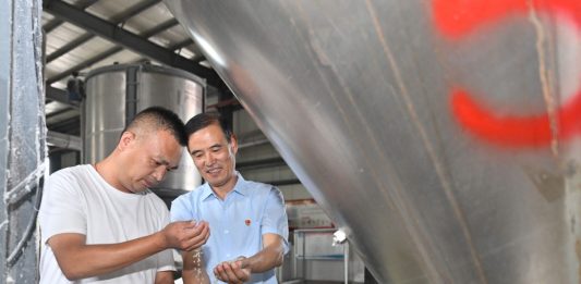Cina: funzionario locale guida villaggio verso rivitalizzazione rurale (1)