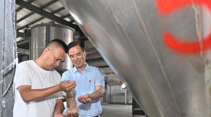Cina: funzionario locale guida villaggio verso rivitalizzazione rurale (1)