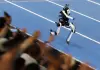 Cina: robot umanoidi si sfidano tra sport e prove di abilità (1)