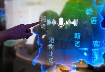 Cina: Changsha, mostra promuove tutela della diversità linguistica del Paese (1)