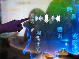 Cina: Changsha, mostra promuove tutela della diversità linguistica del Paese (1)