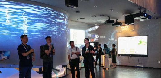 Cina: Changsha, mostra promuove tutela della diversità linguistica del Paese (3)