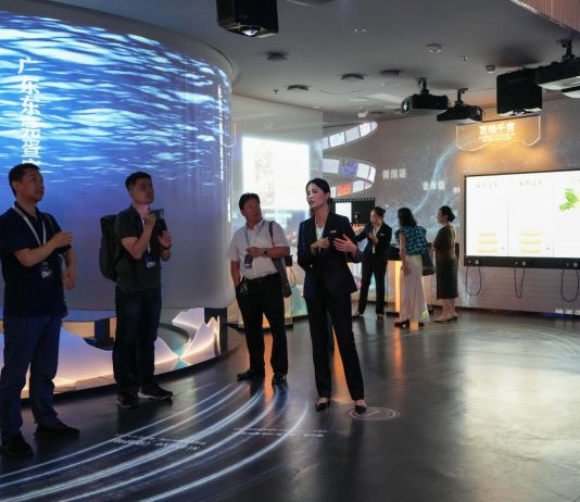 Cina: Changsha, mostra promuove tutela della diversità linguistica del Paese (3)